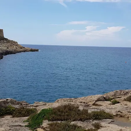 Palm Court Lejlighed *